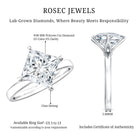 IGI Certified Lab Grown Diamond 3 Carat Princess Cut Engagement Ring Lab - ( EF-VS ) - Rosec Jewels