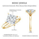 IGI Certified Lab Grown Diamond 3 Carat Princess Cut Engagement Ring Lab - ( EF-VS ) - Rosec Jewels