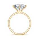 IGI Certified Lab Grown Diamond 3 Carat Princess Cut Engagement Ring Lab - ( EF-VS ) - Rosec Jewels