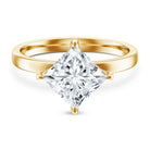IGI Certified Lab Grown Diamond 3 Carat Princess Cut Engagement Ring Lab - ( EF-VS ) - Rosec Jewels