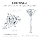 Solitaire 5 Carat Princess Cut Lab Grown Diamond Huge Engagement Ring with IGI Certificate Lab - ( EF-VS ) - Rosec Jewels