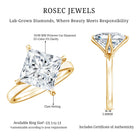 Solitaire 5 Carat Princess Cut Lab Grown Diamond Huge Engagement Ring with IGI Certificate Lab - ( EF-VS ) - Rosec Jewels