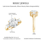 Rosec Jewels-4 Carat Lab Grown Diamond Three Stone Engagement Ring IGI Certified