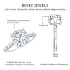 Lab Grown 4 Carat Round Diamond Solitaire Engagement Ring with IGI Certificate Lab - ( E-VS1 ) - Rosec Jewels