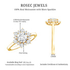 Claw Set Moissanite Halo Engagement Ring with Certificate D-VS1 - Rosec Jewels