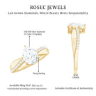 Rosec Jewels-Pear Cut Diamond Classic Engagement Ring