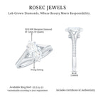 Rosec Jewels-Brilliant Cut Lab Grown Diamond Marquise Engagement Ring with Split Shank