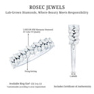Rosec Jewels-Certified Lab Grown Diamond Marquise Wedding Band