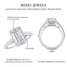 Rosec Jewels-IGI Certified 4 Carat Emerald Cut Lab Grown Diamond Engagement Ring with Hidden Halo