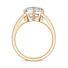 IGI Certified 3 Carat Lab Grown Diamond Heart Engagement Ring Lab - ( E-VS1 ) - Rosec Jewels