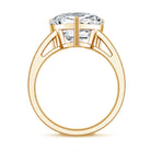 IGI Certified 5 Carat Lab Grown Diamond Heart Engagement Ring with Side Stones Lab - ( E-VS1 ) - Rosec Jewels