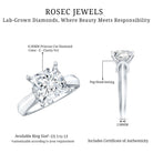 Lab Grown 4 Carat Diamond Princess Cut Engagement Ring with IGI Certificate Lab - ( E-VS1 ) - Rosec Jewels