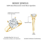 Lab Grown 4 Carat Diamond Princess Cut Engagement Ring with IGI Certificate Lab - ( E-VS1 ) - Rosec Jewels
