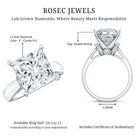Huge 5 Carat Princess Cut Engagement Ring with IGI Certified Solitaire Lab Grown Diamond Lab - ( E-VS1 ) - Rosec Jewels