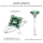 3 Carat Lab Grown Vivid Green Diamond Princess Cut Engagement Ring with IGI Certificate Vivid Green - VS1 - Rosec Jewels