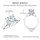 Solitaire 3 Carat Lab Grown Diamond Princess Cut Engagement Ring IGI Certified Lab - ( E-VS1 ) - Rosec Jewels