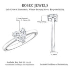 Rosec Jewels-1 Carat Lab Grown Solitaire Diamond Heart Engagement Ring IGI Certified