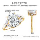 Rosec Jewels-Lab Grown Diamond 3 Carat Radiant Cut Engagement Ring with IGI Certificate