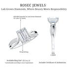 IGI Certified 2 Carat Emerald Cut Lab Grown Diamond Infinity Engagement Ring Lab - ( E-VS1 ) - Rosec Jewels