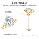 Rosec Jewels-IGI Certified Nature Inspired Lab Grown Diamond Pear Engagement Ring 4 Carat