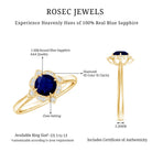 Vintage Style 0.9 Carat Blue Sapphire Engagement Ring with Diamond Halo AAA - Rosec Jewels