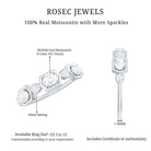 Rosec Jewels-Oval and Round Certified Moissanite Half Eternity Ring