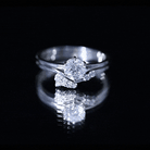 Solitaire Moissanite Wedding Ring Set for Her D-VS1 - Rosec Jewels