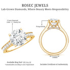 Rosec Jewels-IGI Documented Solitaire Lab Grown Diamond 3 Carat Engagement Ring