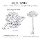 Certified Lab Grown 1 Carat Diamond Oval Halo Engagement Ring Lab - ( EF-VS ) - Rosec Jewels