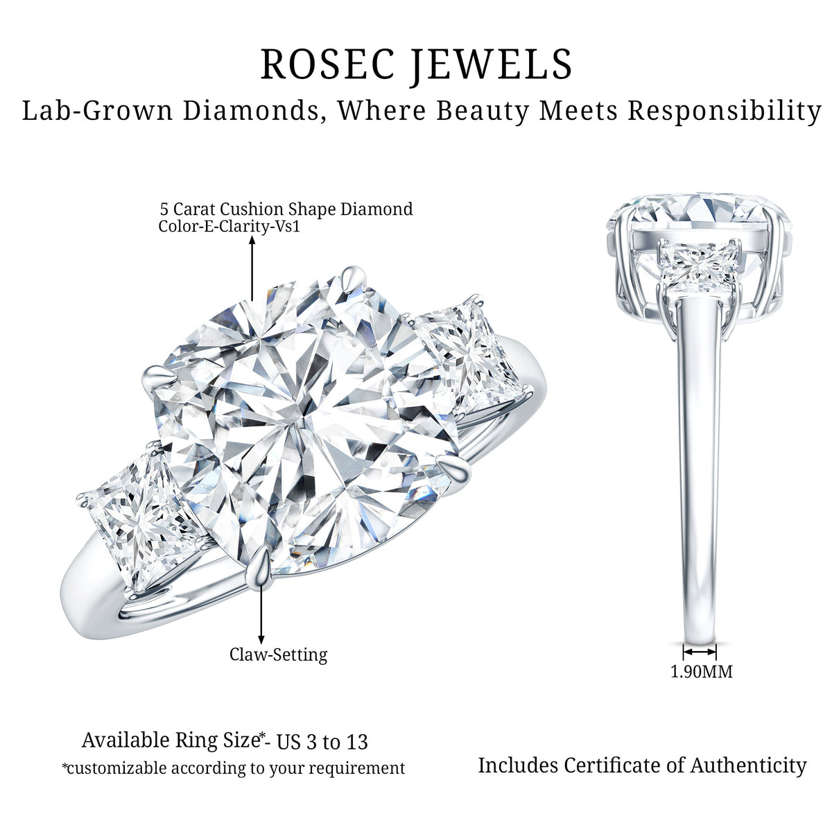 Rosec Jewels-5 Carat Cushion Cut Lab Grown Diamond Journey Ring with IGI Certificate
