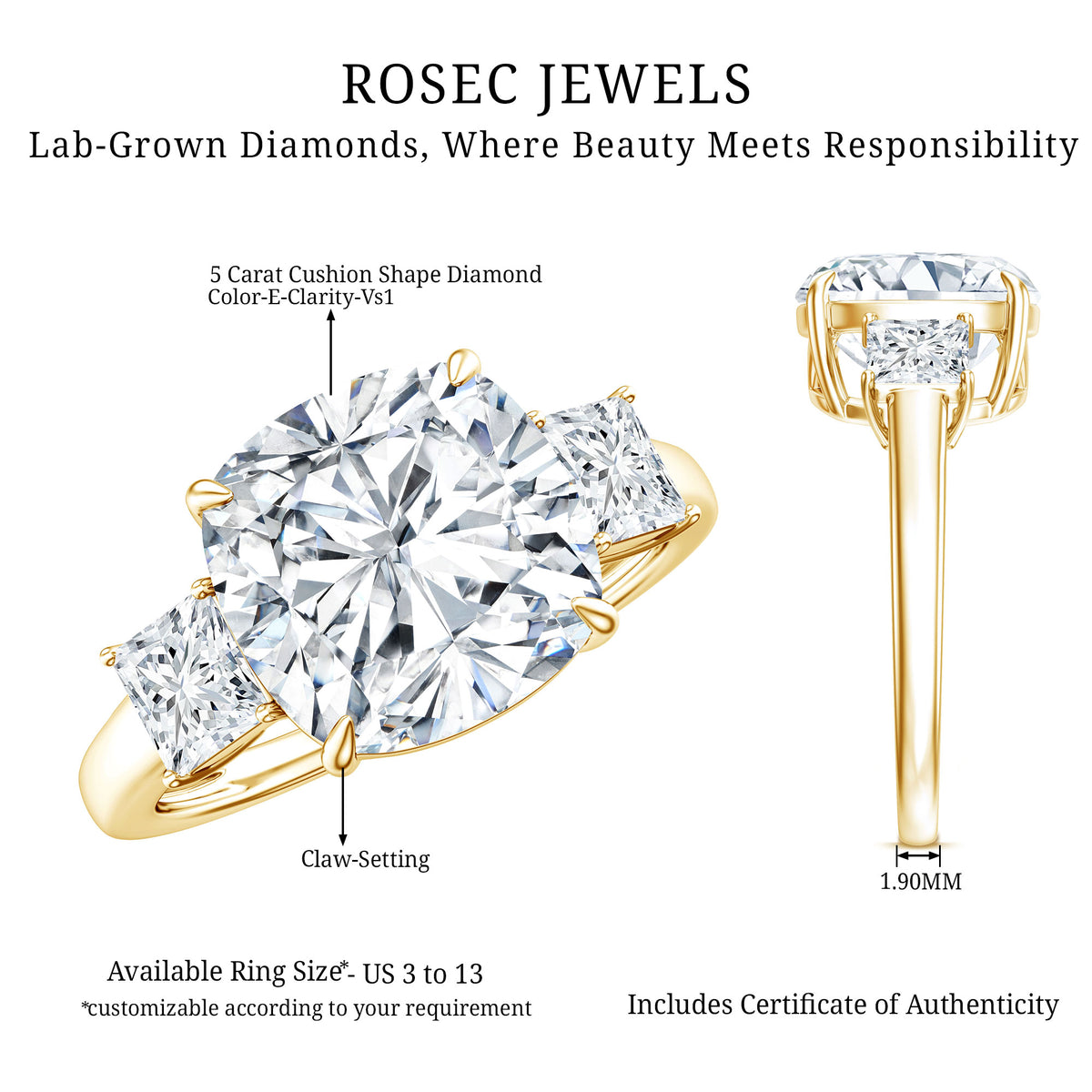 Rosec Jewels-5 Carat Cushion Cut Lab Grown Diamond Journey Ring with IGI Certificate