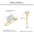 Rosec Jewels-4 Carat Princess Cut Lab Grown Diamond Solitaire Engagement Ring IGI Certified