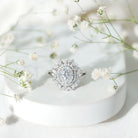 IGI Verified 2 Carat Oval Lab Grown Diamond Statement Engagement Ring with Double Halo Lab - ( E-VS1 ) - Rosec Jewels