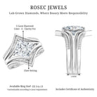 IGI Graded 3 Carat Lab Grown Diamond Princess Cut Engagement Ring with Enhancers Lab - ( E-VS1 ) - Rosec Jewels