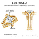 IGI Graded 3 Carat Lab Grown Diamond Princess Cut Engagement Ring with Enhancers Lab - ( E-VS1 ) - Rosec Jewels