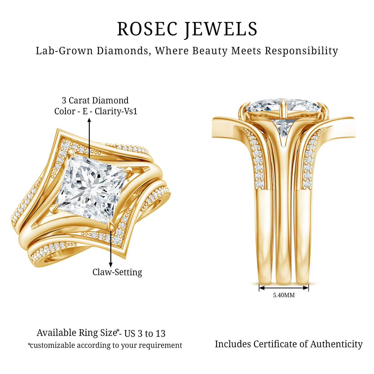 IGI Graded 3 Carat Lab Grown Diamond Princess Cut Engagement Ring with Enhancers Lab - ( E-VS1 ) - Rosec Jewels