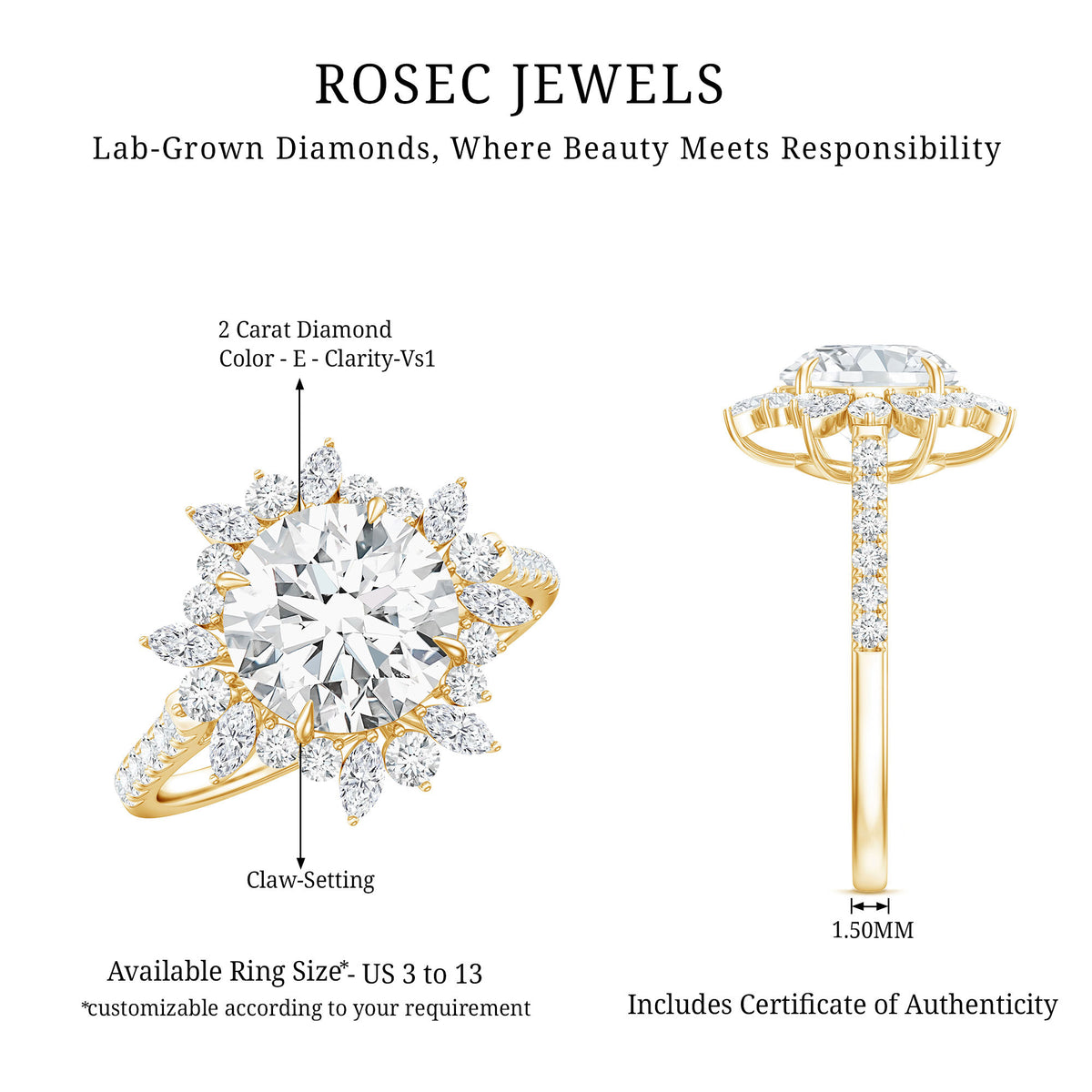 IGI Documented 2 Carat Lab Grown Diamond Cocktail Ring with Halo Lab - ( E-VS1 ) - Rosec Jewels