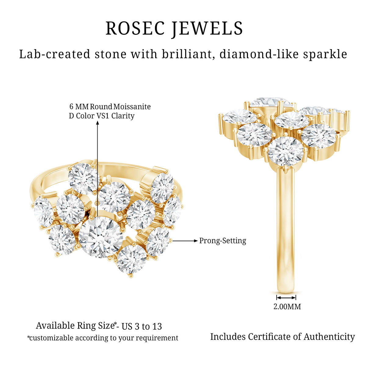 Certified Round Moissanite Cluster Engagement Ring for Women D-VS1 - Rosec Jewels