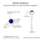 Certified Lab Grown Blue Sapphire Diamond Promise Ring for Women AAAA - Rosec Jewels
